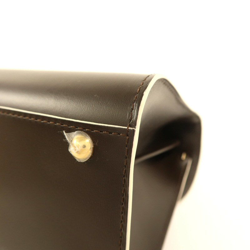 Delvaux 牛皮皮革Brillant Mini金扣手挽肩背兩用袋-11