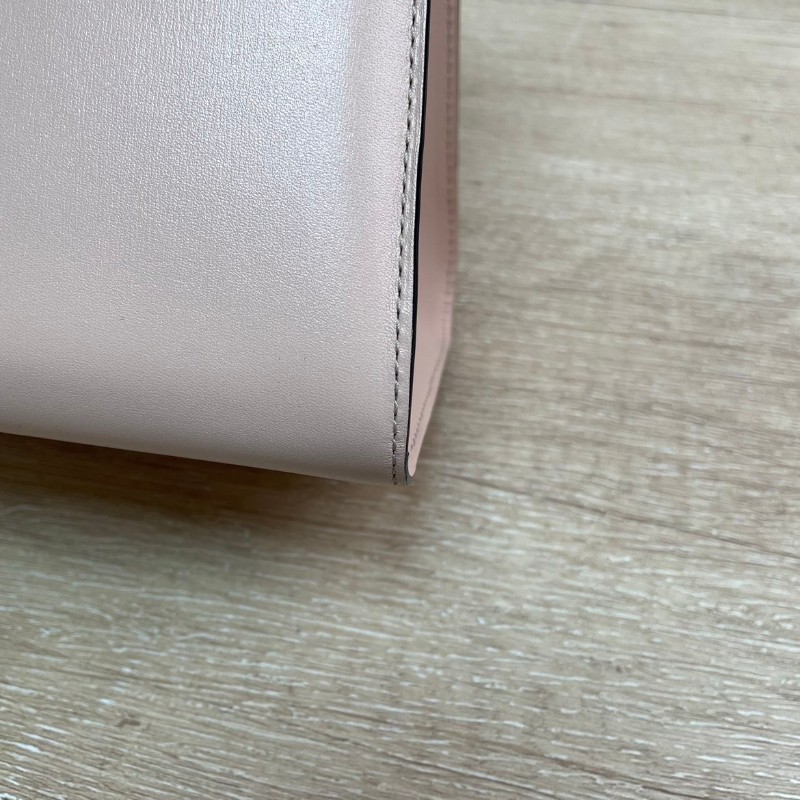 Delvaux Brillant 奶茶色手提包肩背包-10