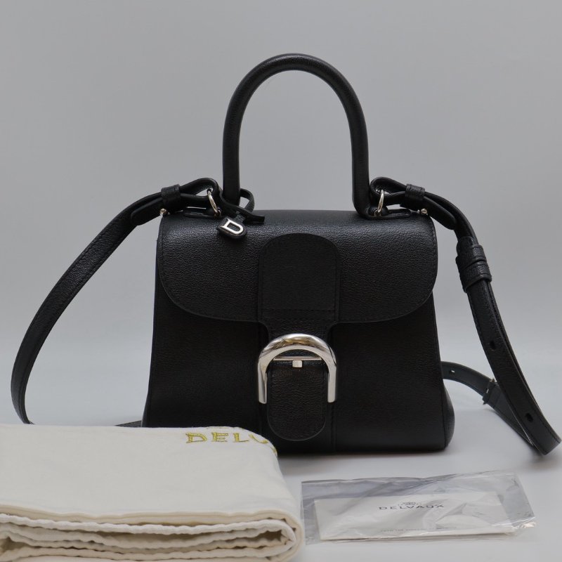 Delvaux Brilliant mini - 黑銀-9