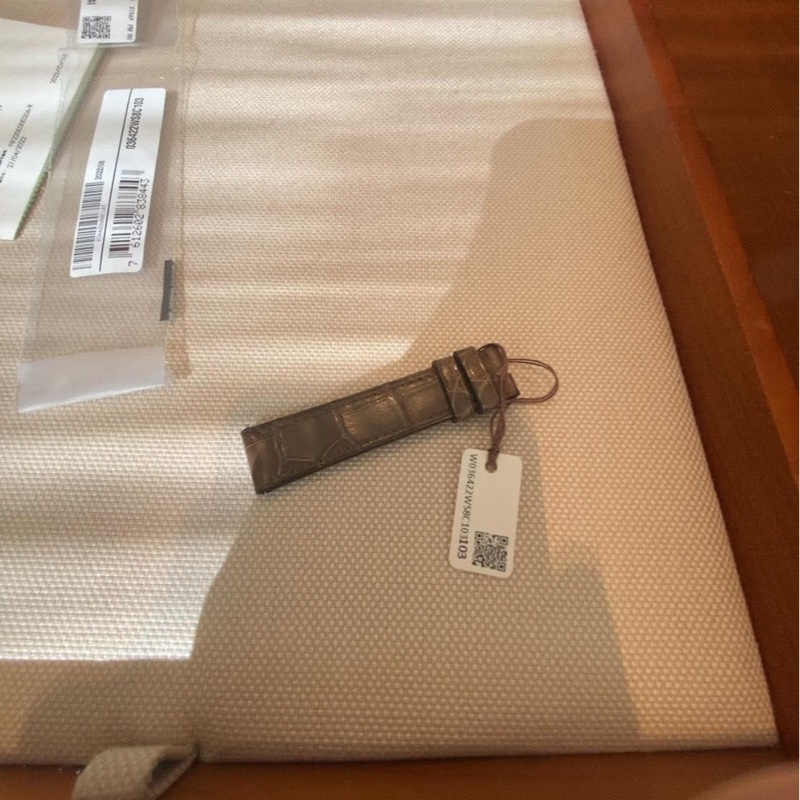 愛馬仕Hermas H鑲鑽鱷魚皮手錶21x30mm女錶⌚️-9