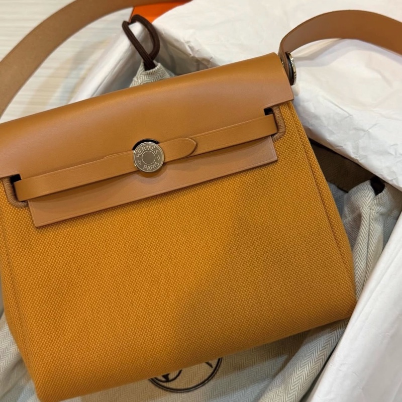 Hermes mini herbag-1