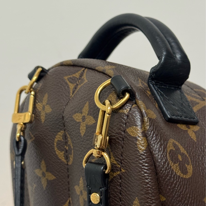 LV Palm Springs新款拉鏈小號老花雙肩小背包-14