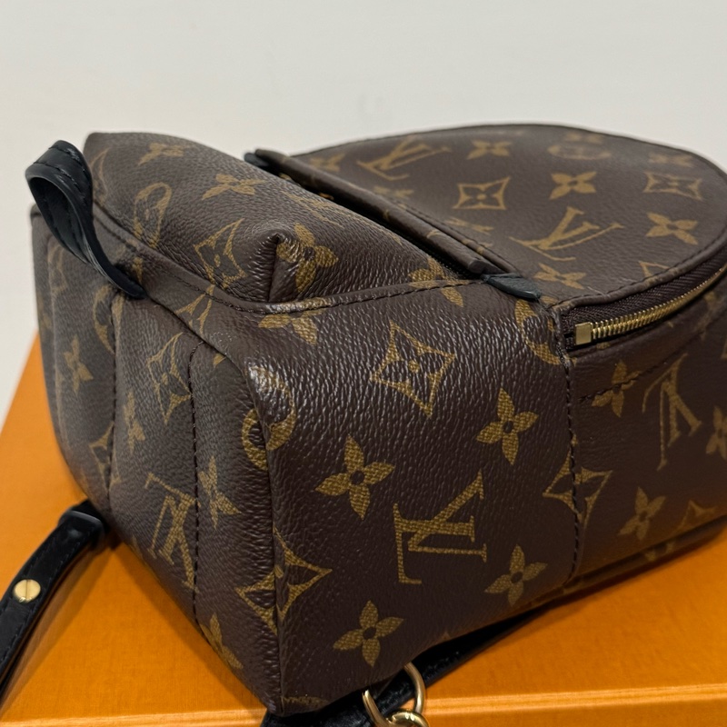 LV Palm Springs新款拉鏈小號老花雙肩小背包-17