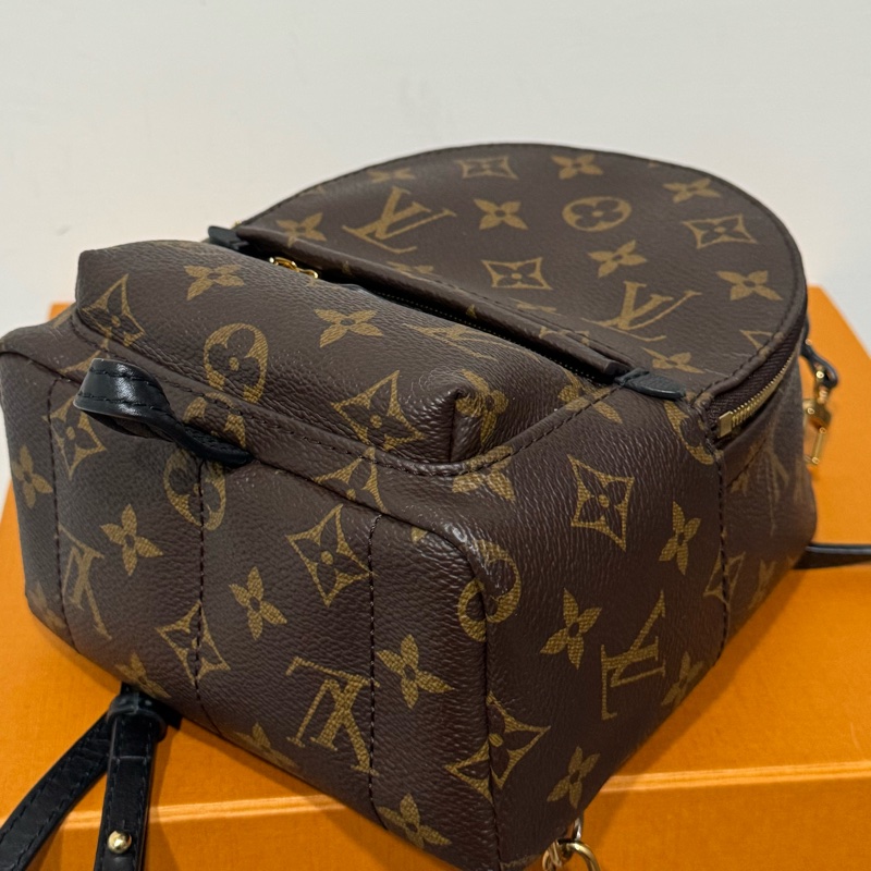 LV Palm Springs新款拉鏈小號老花雙肩小背包-18