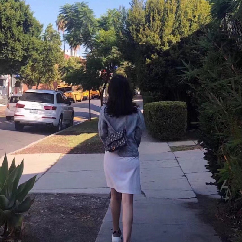 Dior老花馬鞍大號Woc鏈條包 尺寸約22*14-8