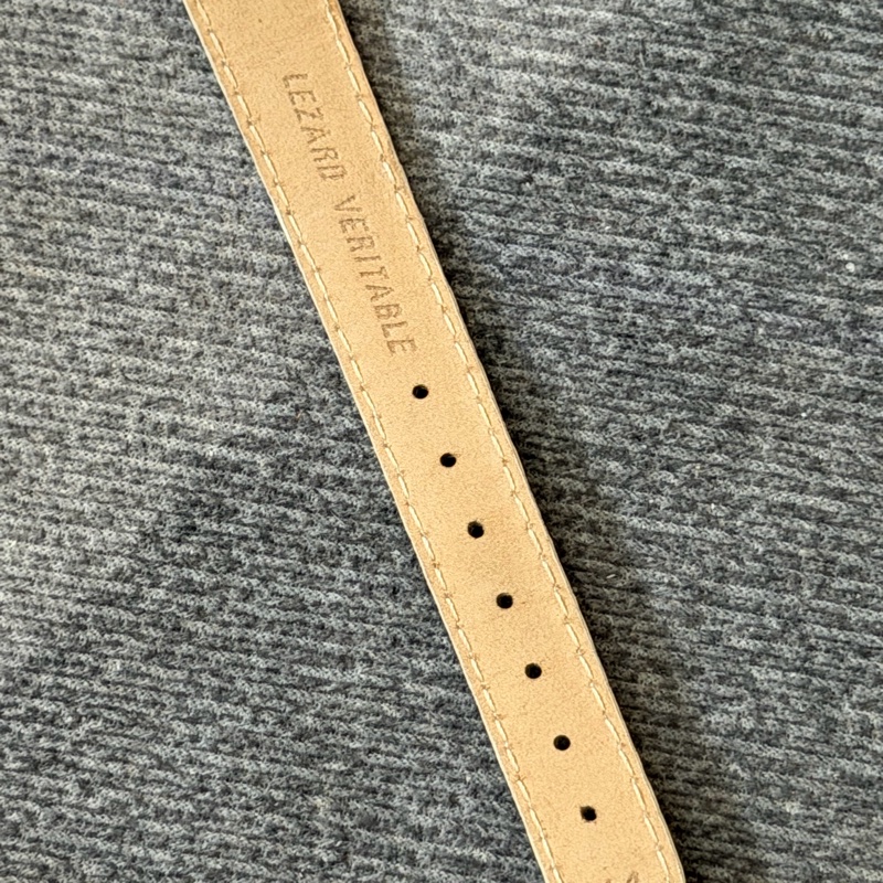 Dior 石英錶  型號：D60-109-5