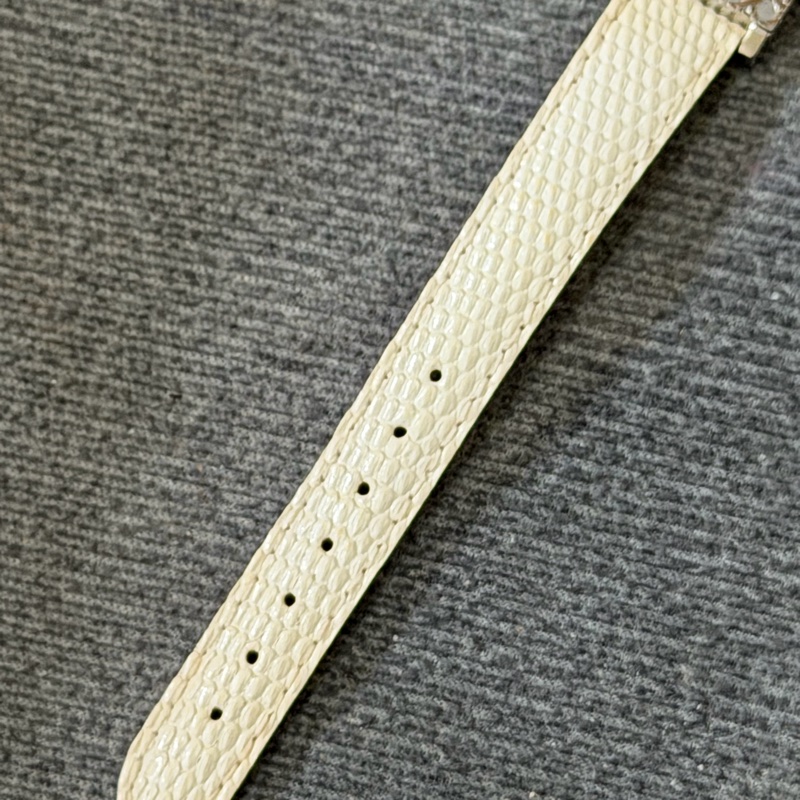Dior 石英錶  型號：D60-109-8