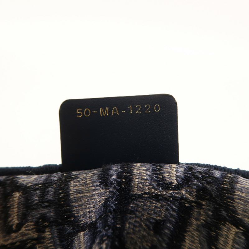 Dior 帆布Book Tote Medium手挽袋-6