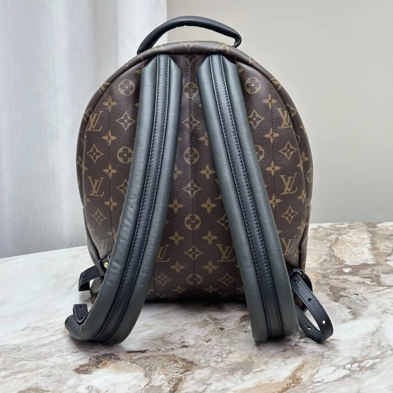 LV老花大號後背包28*36*10 98新配件塵袋-3