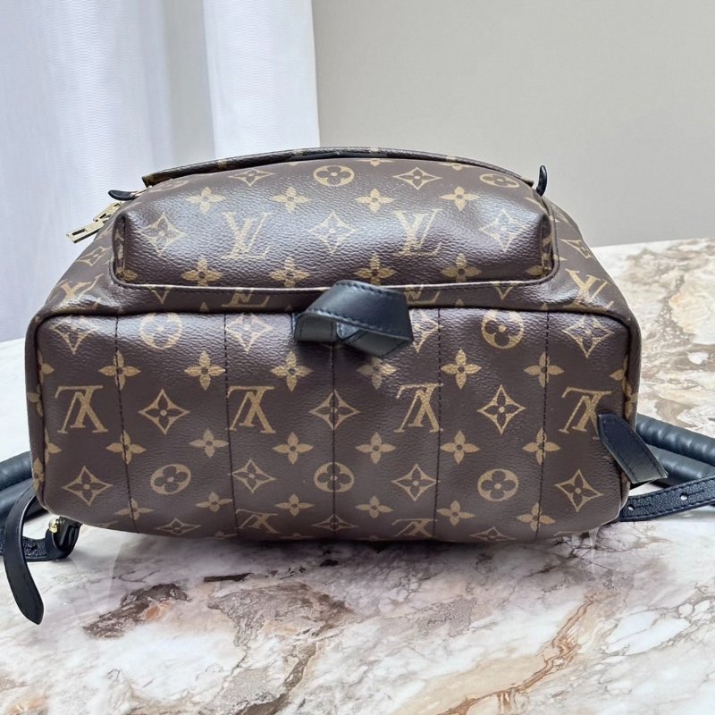 LV老花大號後背包28*36*10 98新配件塵袋-5