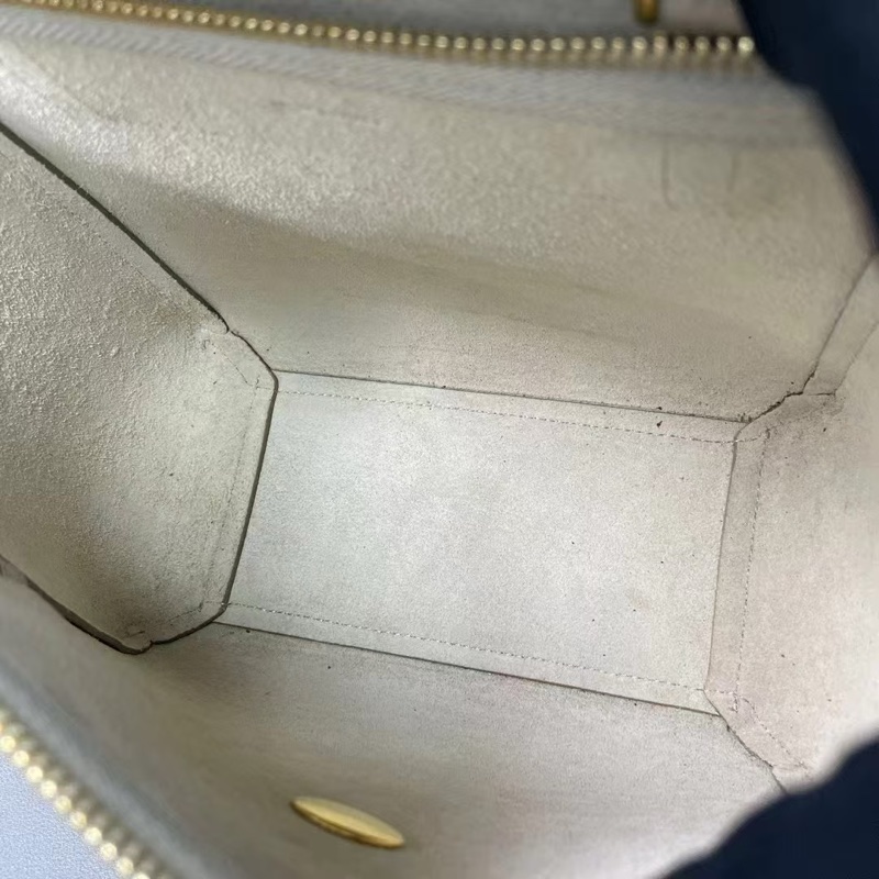 Celine奶茶色nano鯰魚包 99新配件塵袋-6