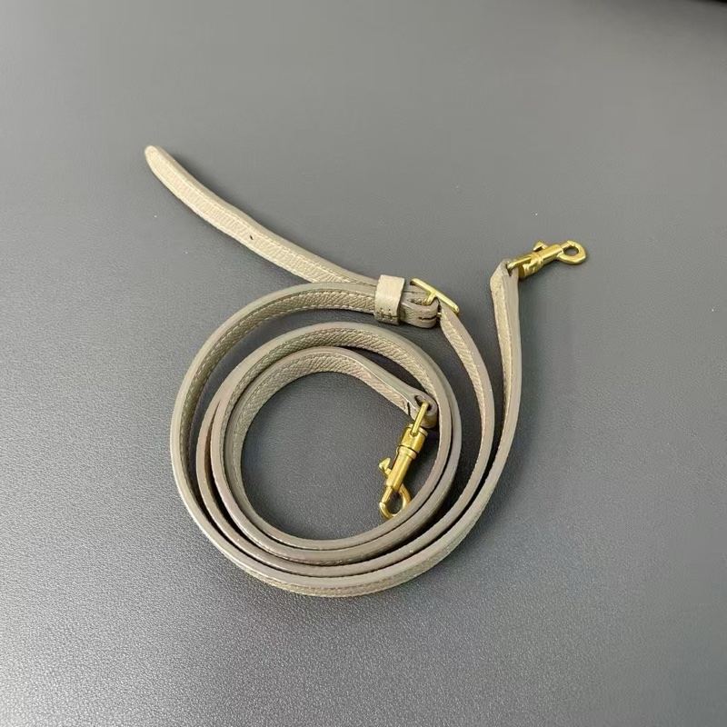 Celine奶茶色nano鯰魚包 99新配件塵袋-7