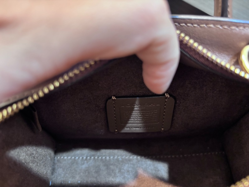 Coach蔻馳 Andrea Mini 經典老花皮革手提/斜背包-13