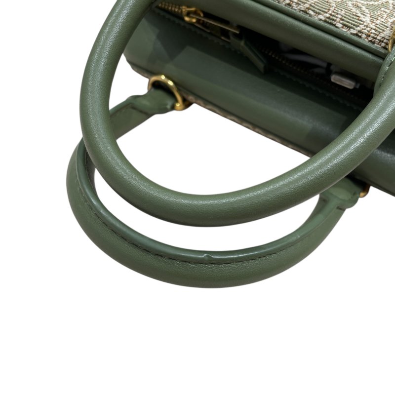 LOEWE 羅威 AMAZONA 19 方形包 刺繡帆布 綠色 金釦-10