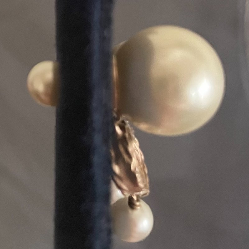 Dior Tribales 針式垂墜耳環-2