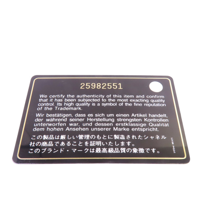 CHANEL 牛皮皮革Chevron Camera Bag銀扣鏈帶肩背袋-8