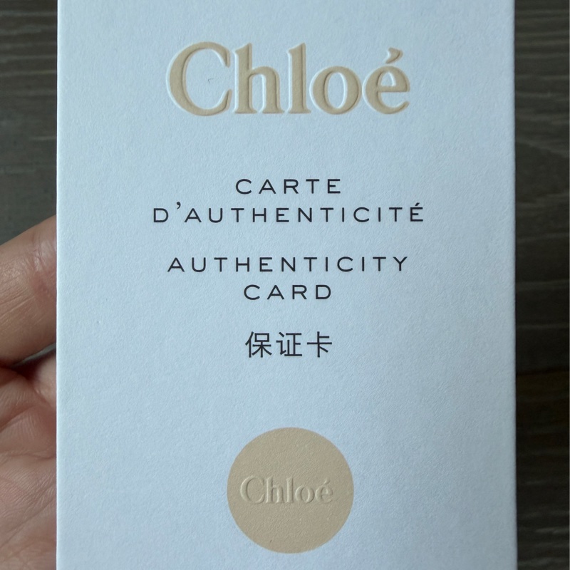 Chloe mini c 肩背斜背手提包 大象灰-24