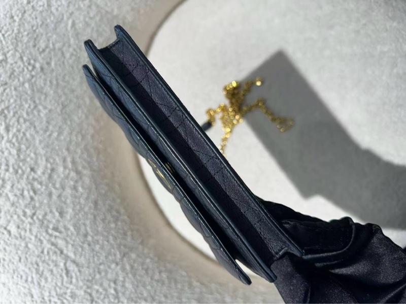 Dior caro黑金 woc 99新配件塵袋-3