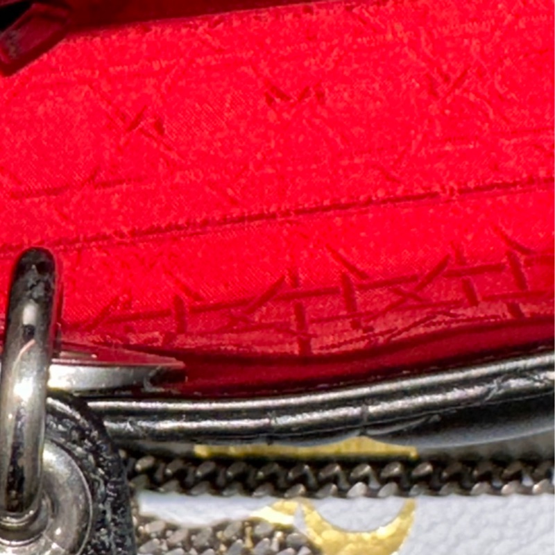 (已保留)大全配🈶購證❤️ Dior #lady #黑銀 #戴妃包 #三格-27