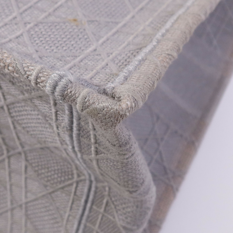 Dior 帆布Book Tote Bag手挽袋-4