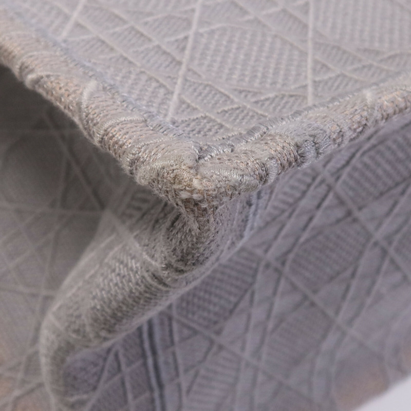 Dior 帆布Book Tote Bag手挽袋-5