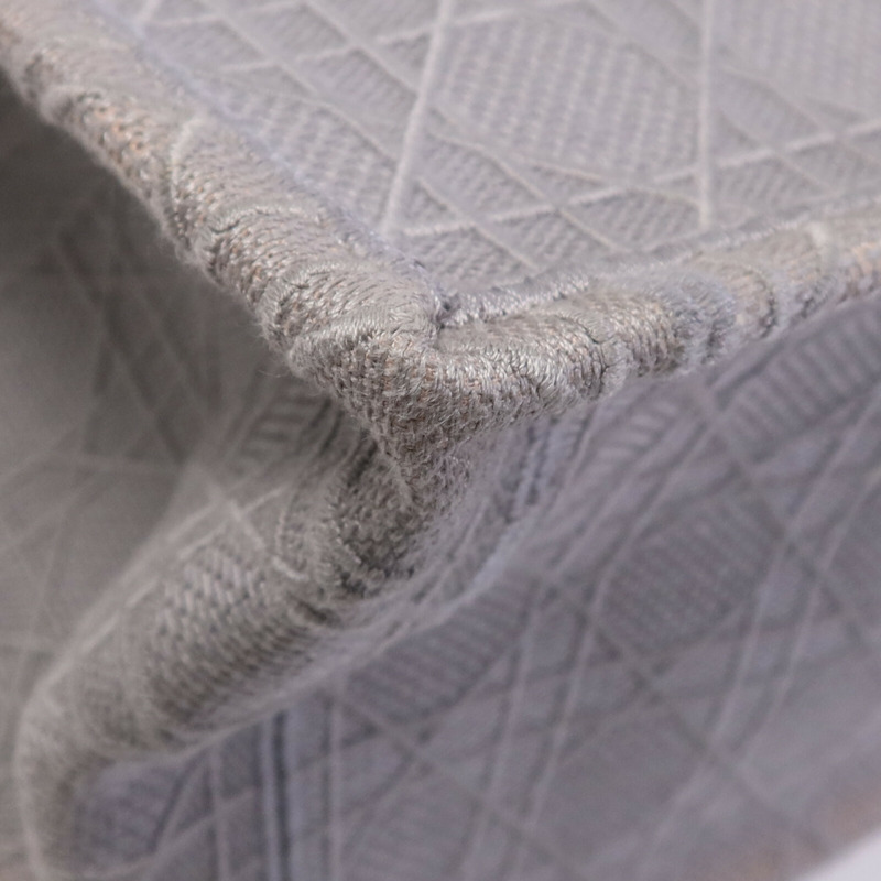 Dior 帆布Book Tote Bag手挽袋-7