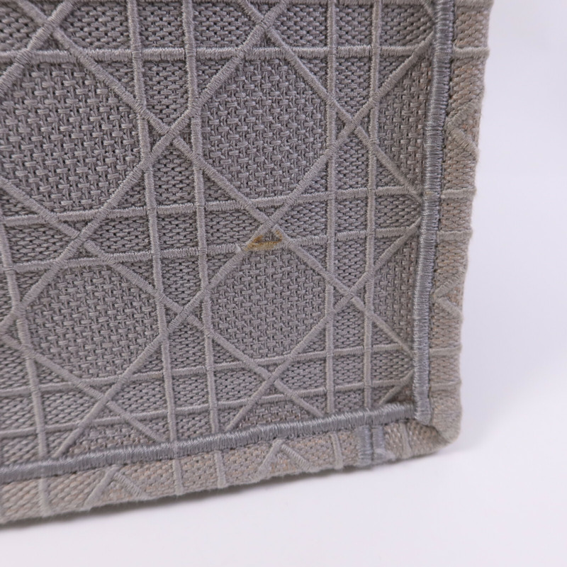 Dior 帆布Book Tote Bag手挽袋-9