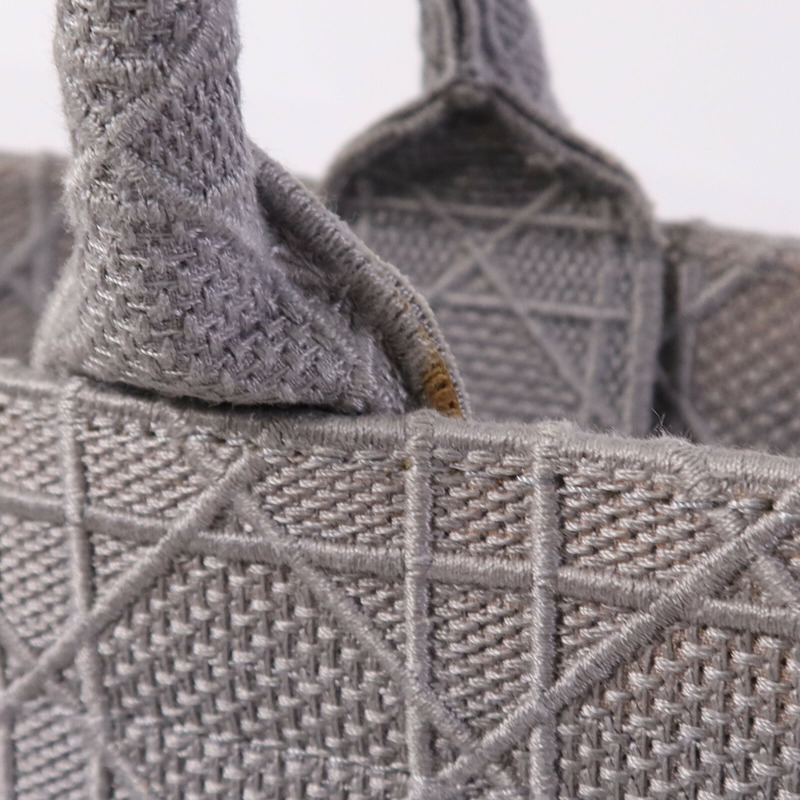 Dior 帆布Book Tote Bag手挽袋-10