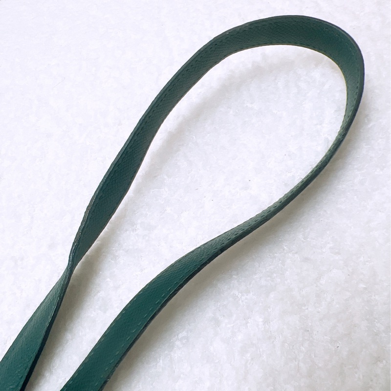 Celine belt bag micro 深綠色鯰魚包-16