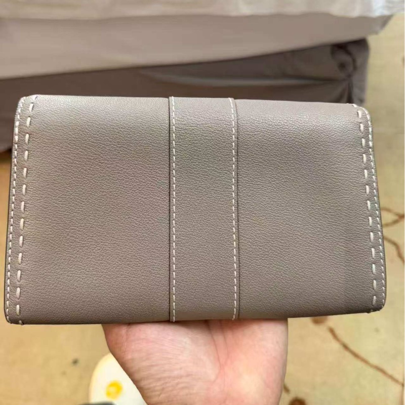 Delvaux WOC 大象灰-2