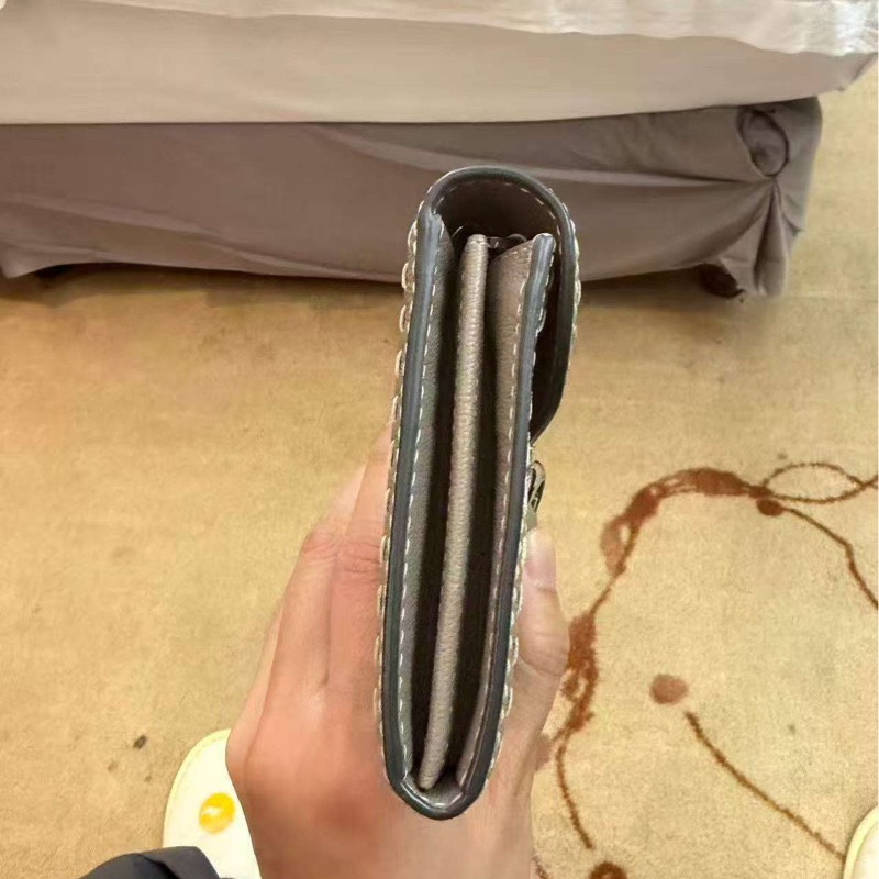 Delvaux WOC 大象灰-3