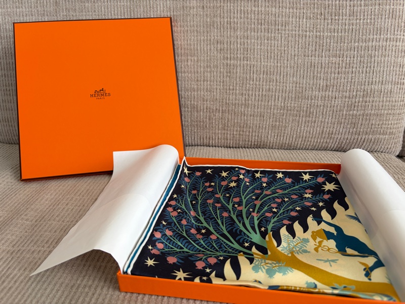 Hermes 絲巾-2