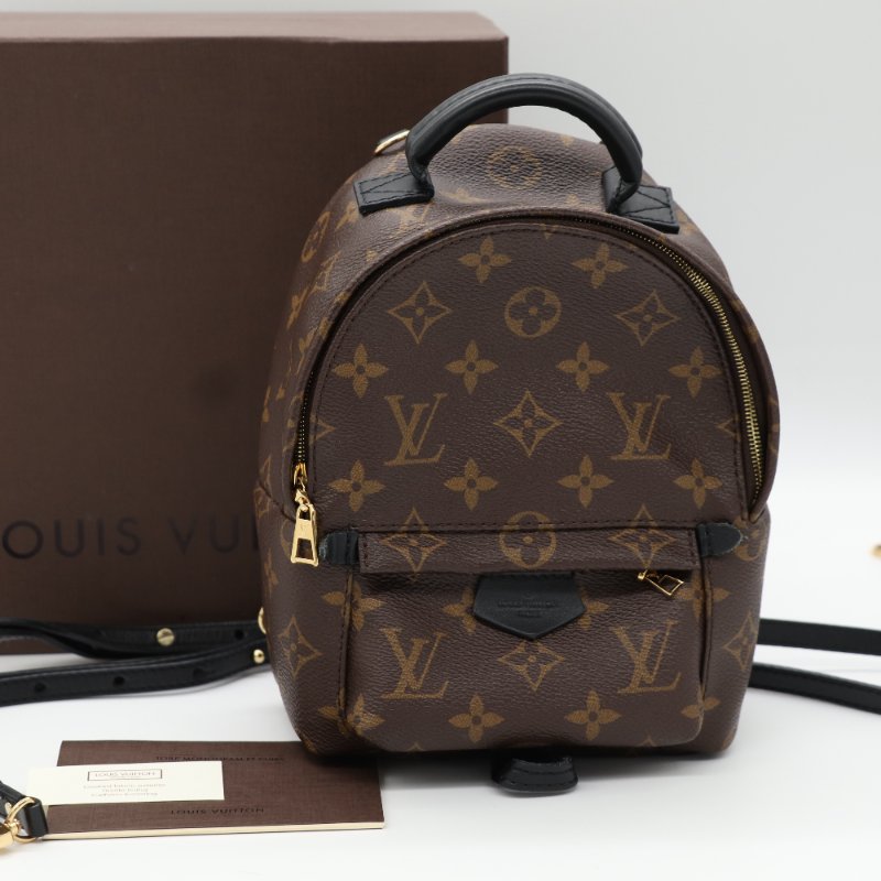 Louis Vuitton 路易威登 Palm Springs Mini 老花 帆布 牛皮 後背包 雙肩包-0
