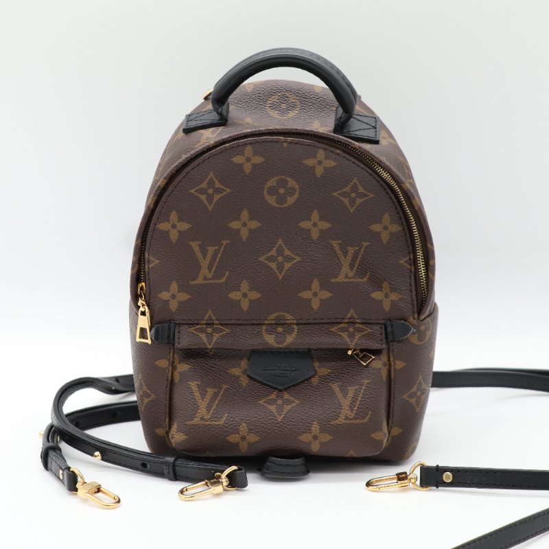 Louis Vuitton 路易威登 Palm Springs Mini 老花 帆布 牛皮 後背包 雙肩包-1