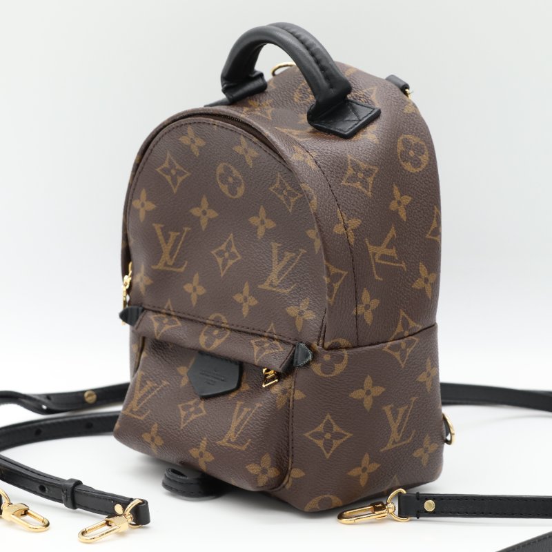 Louis Vuitton 路易威登 Palm Springs Mini 老花 帆布 牛皮 後背包 雙肩包-2