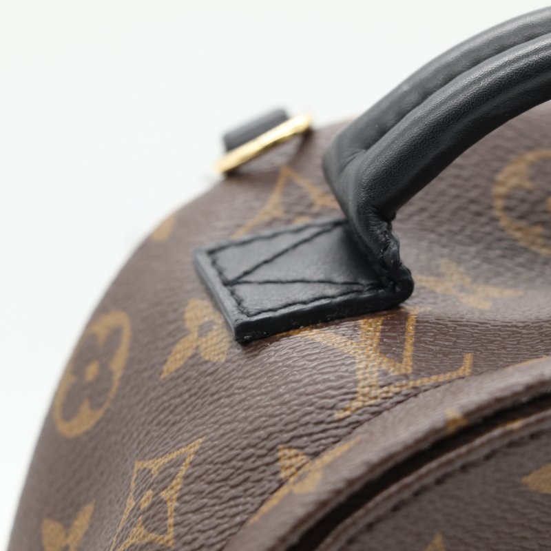 Louis Vuitton 路易威登 Palm Springs Mini 老花 帆布 牛皮 後背包 雙肩包-5