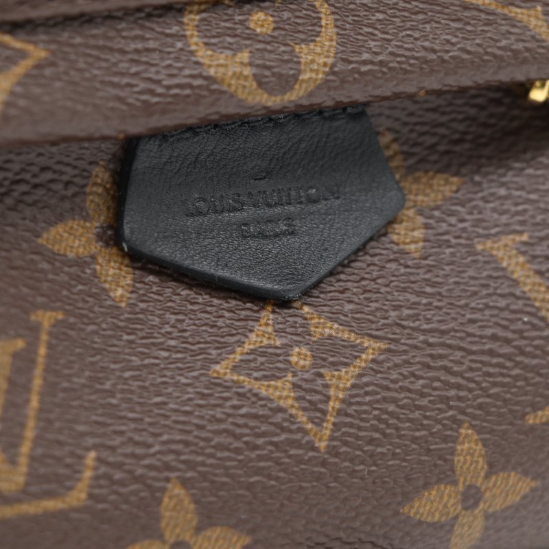 Louis Vuitton 路易威登 Palm Springs Mini 老花 帆布 牛皮 後背包 雙肩包-7