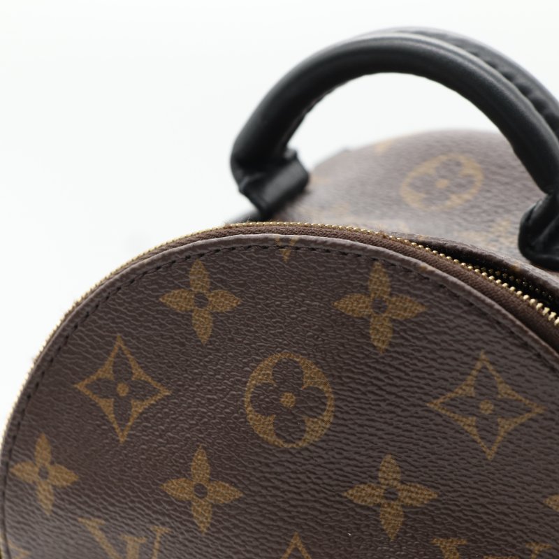 Louis Vuitton 路易威登 Palm Springs Mini 老花 帆布 牛皮 後背包 雙肩包-8