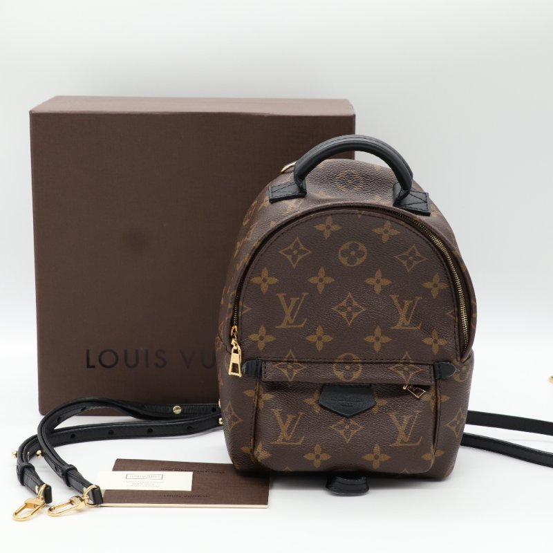 Louis Vuitton 路易威登 Palm Springs Mini 老花 帆布 牛皮 後背包 雙肩包-18