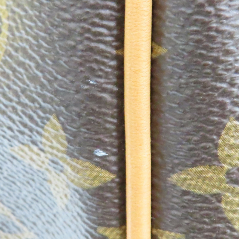 棕色 原花帆布 Delightful MM 肩背包【LOUIS VUITTON LV 路易威登】 M50156-16