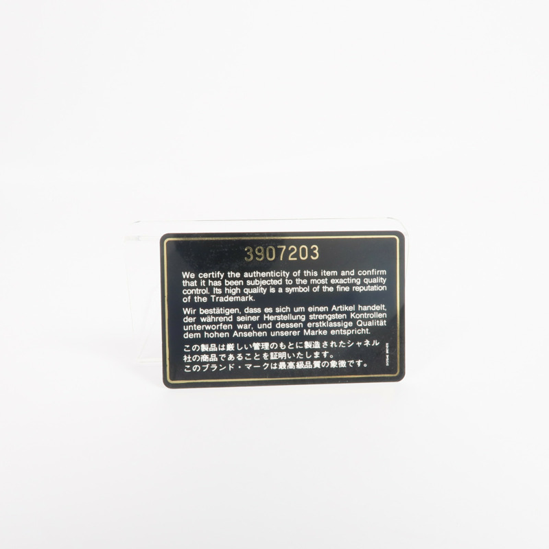 CHANEL 羊皮皮革Pouch金扣手拿包-18