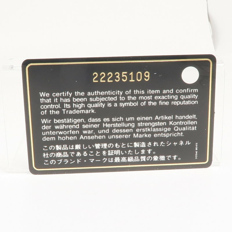 CHANEL 羊皮皮革Clutch Bag金扣手挽袋-15