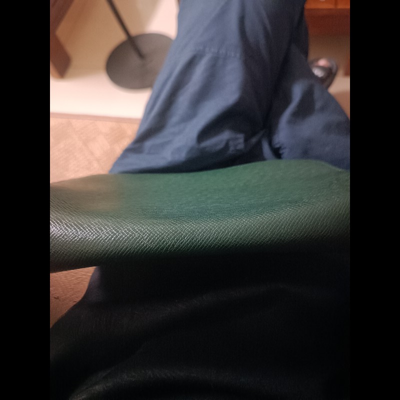 LV 深綠手拿包-7