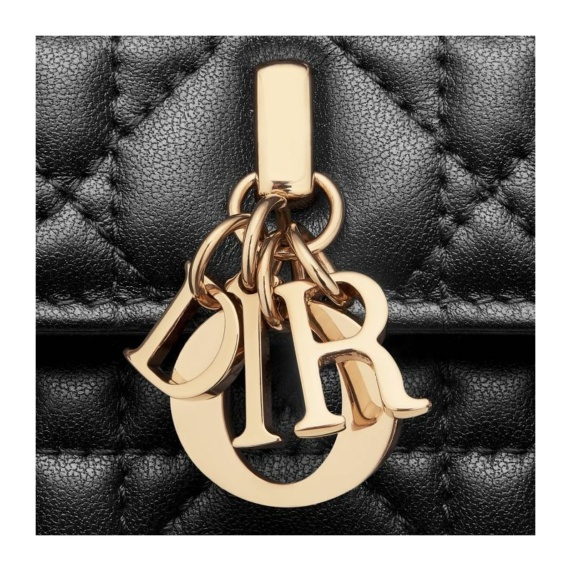 DIOR 我的迷你包 S0980ONMJ_M900-6