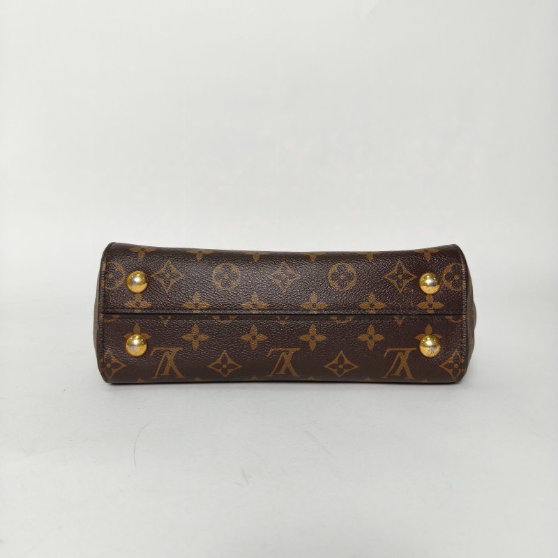 LOUIS VUITTON ClunyBB28老花PVC金扣2018肩背包-4