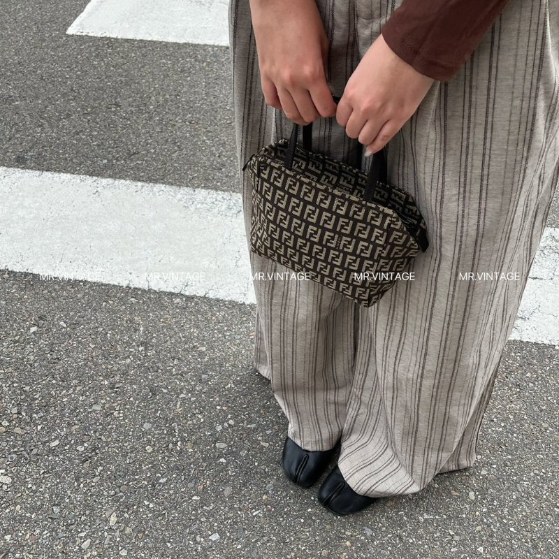 🏷Fendi迷你遛狗包-1