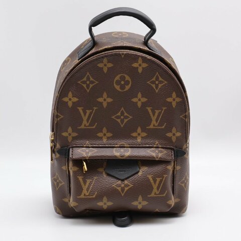 LOUIS VUITTON Palm Springs後背包 - Mini