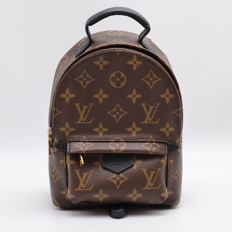LOUIS VUITTON Palm Springs後背包 - Mini-0