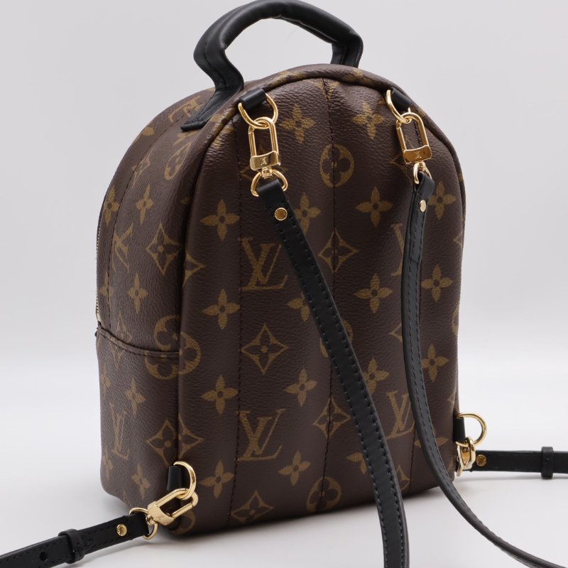 LOUIS VUITTON Palm Springs後背包 - Mini-7