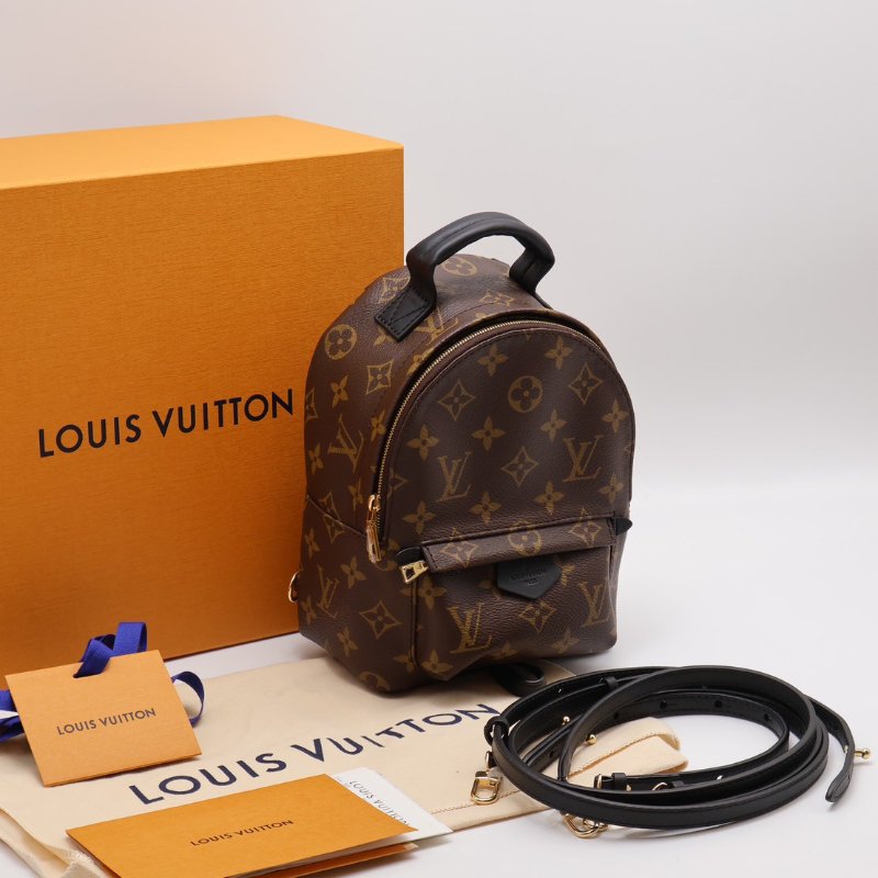 LOUIS VUITTON Palm Springs後背包 - Mini-10